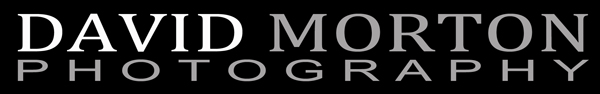 David Morton Photography